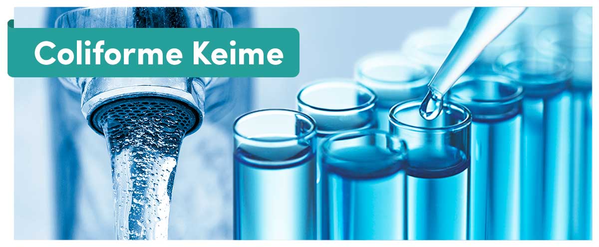 "Coliforme Keime" Im Trinkwasser » Alles Wissenswerte