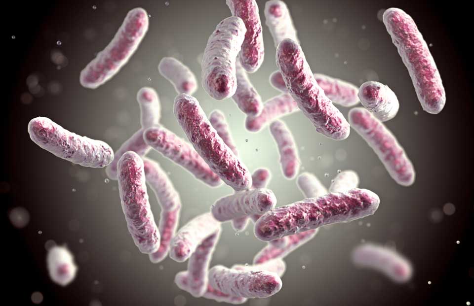 Bakterien werden durch Chlor bekämpft